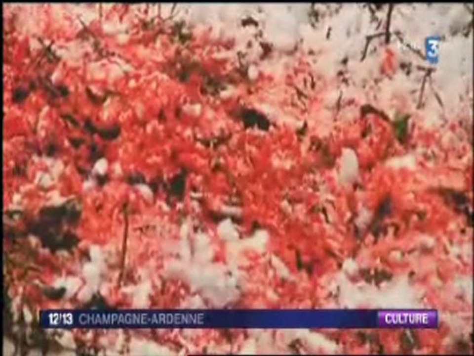 Je suis un piéton -FR3 26-06-2011