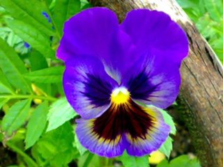 Tiesto pres. Allure feat. JES - Show Me The Way (TwisteDDisko Remix) [HQ]