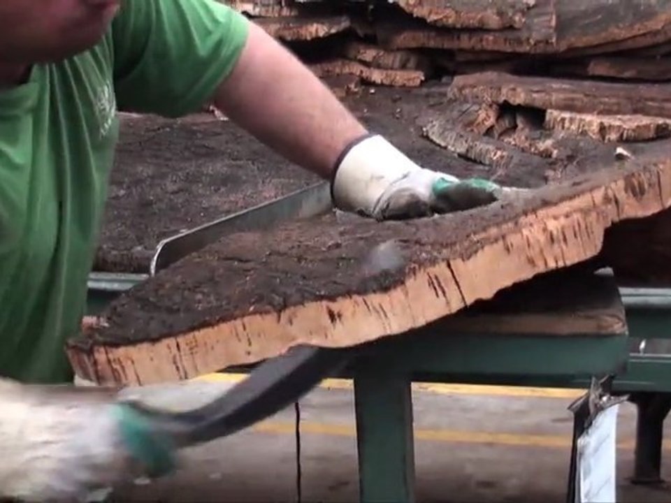 Au coeur du bouchon de liège : Episode 2, le traitement du liège