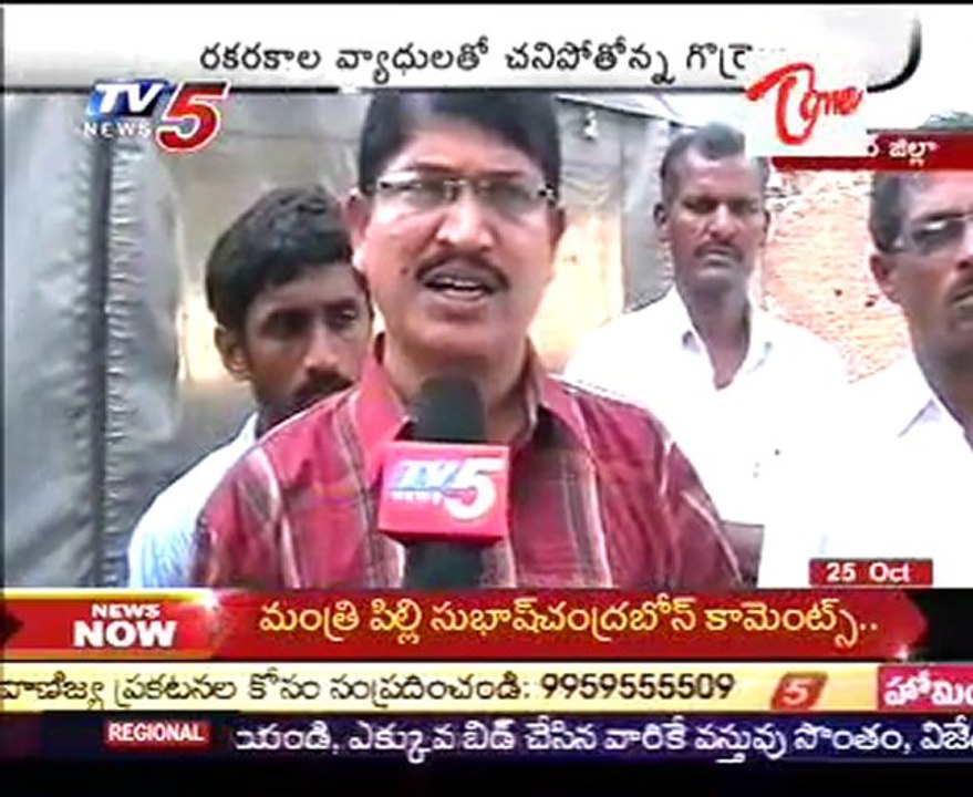 Sheeps Formers Worrying on seasional deseases for Sheeps - special focus