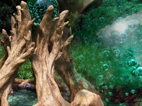 Sculptures en Argile par Sandra Ferry