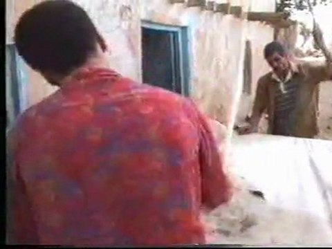 KIF KIF - La culture du Cannabis au Maroc