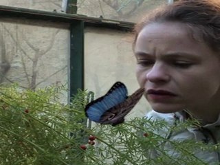 Démangeaisons de l'oracle