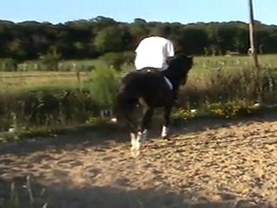Détente au trot