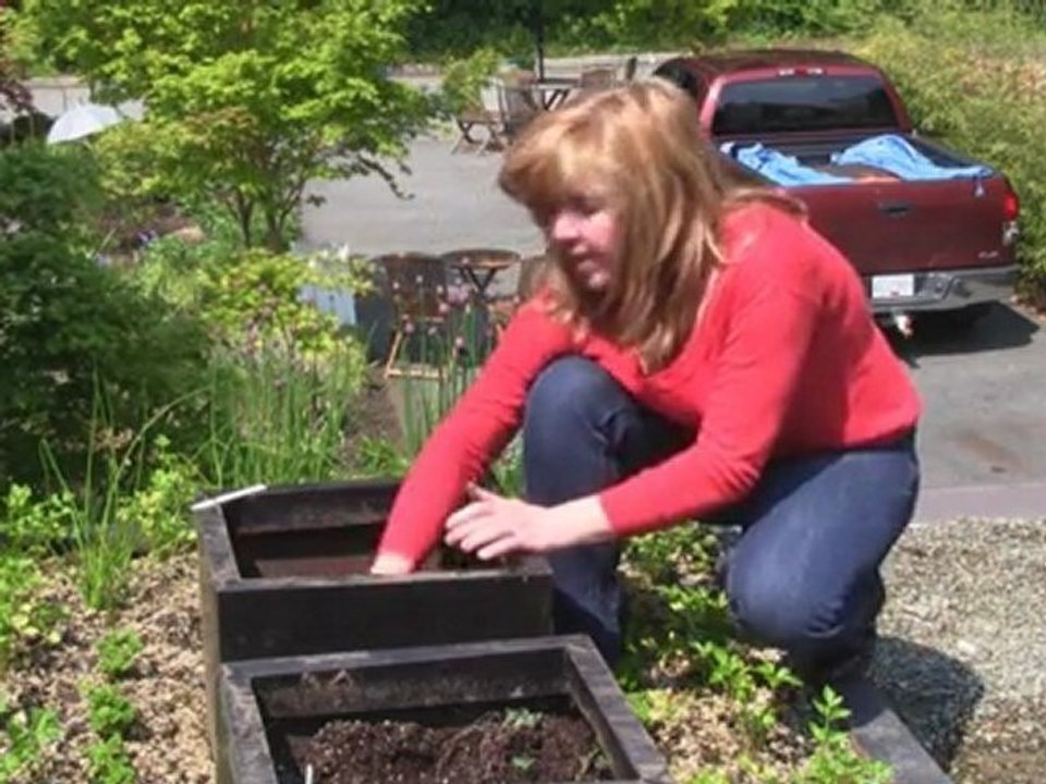 June 26/11 Senga's Vlog How and Where to Grow Potatoes