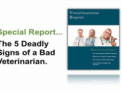 Veterinarians In Columbus Ohio