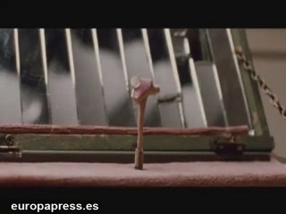 El 'cisne negro' arrasa en taquilla