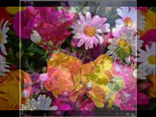 Şükrü Kekevi & Engin Utar - BİR MASALMIŞ