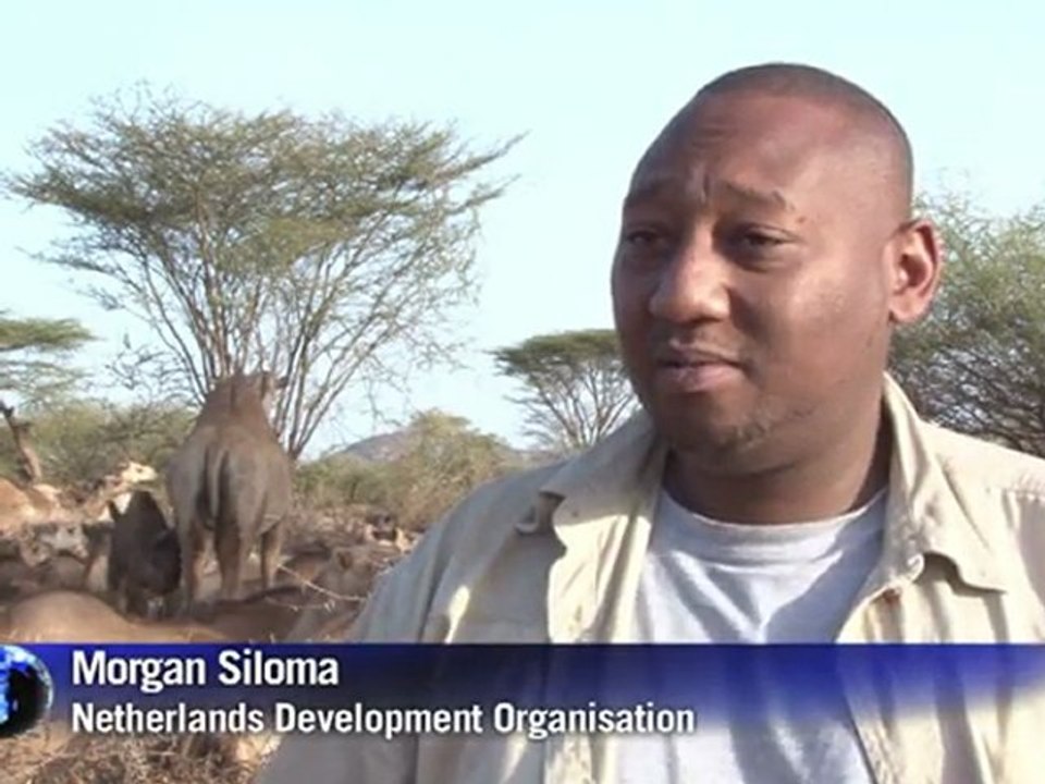 Camel milk the saviour for drought hit Kenya