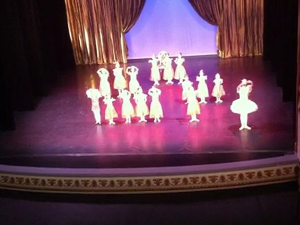 Le Bal Princier