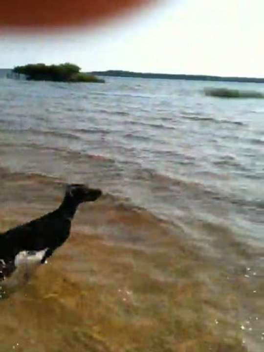 audrey obé le havre marche au pied 25/06/2011