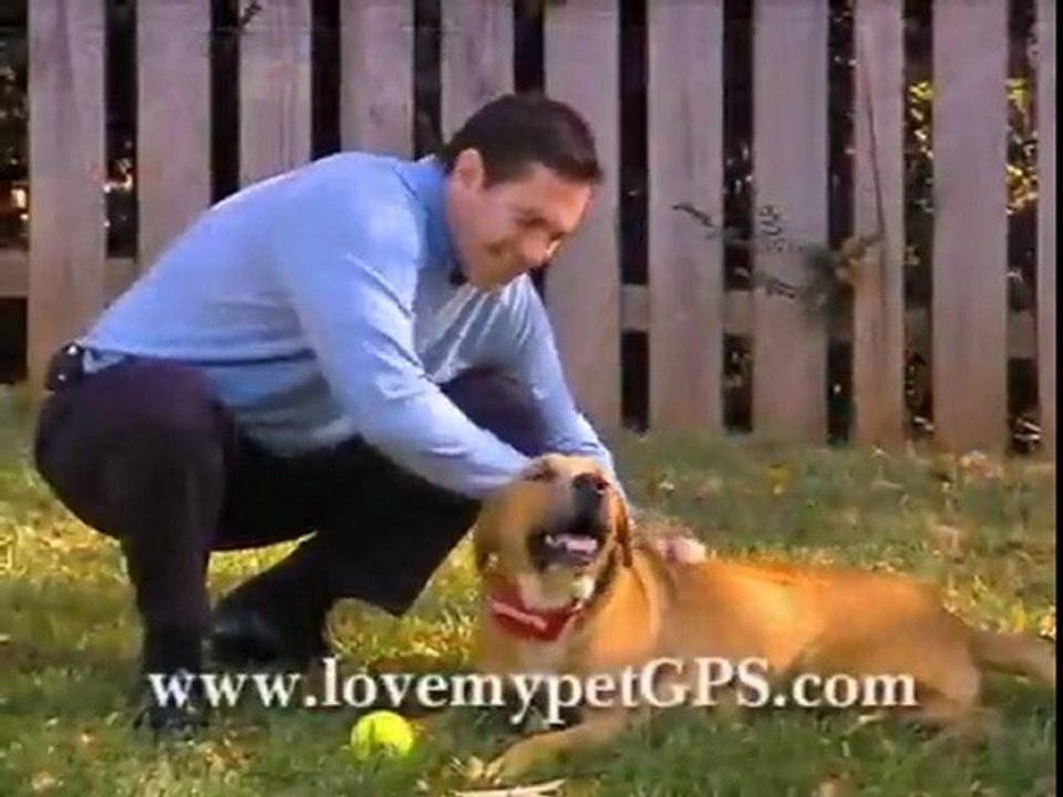 Gps dog collar GPS Technology, What Is It All About?