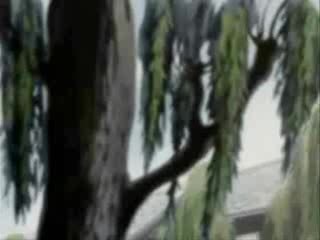 Peacemaker fandub clip