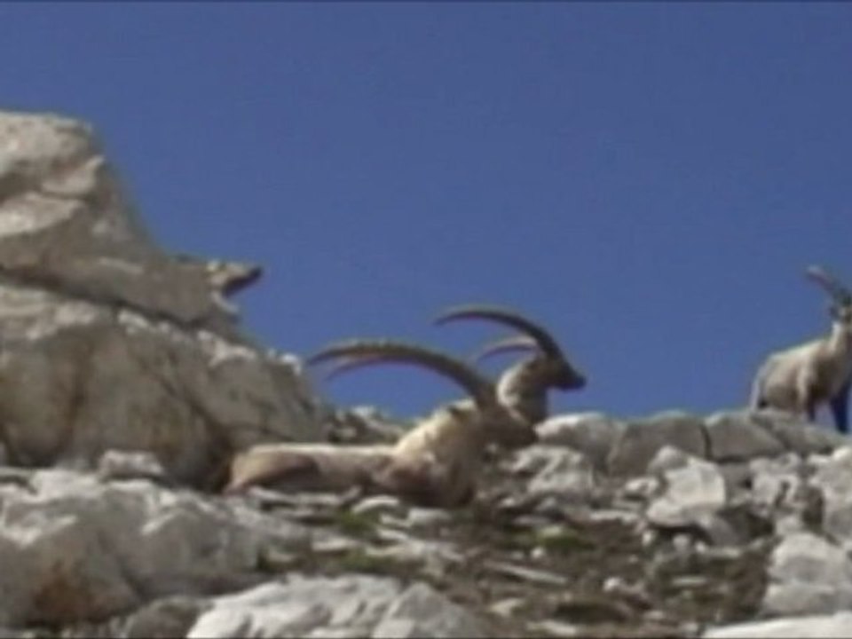 Valloire - Making OFF  F3 Galibier