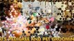 Best Dog And Cat Grooming Pet Supplies  Grooming, Local! Pet