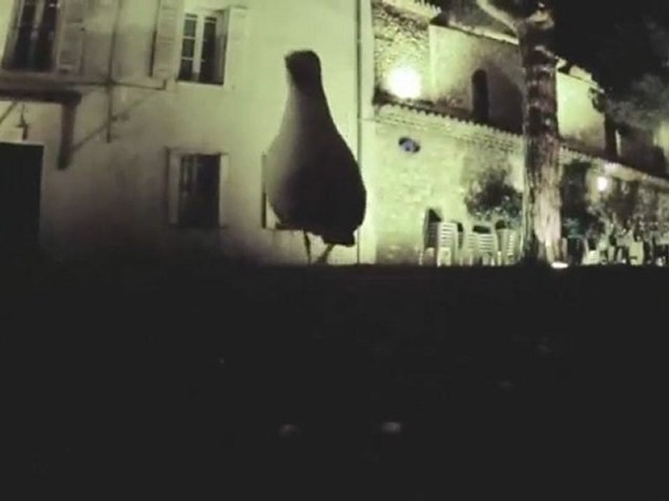 Régis film un goeland