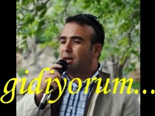 SERDAR ŞAHİN -"GİDİYORUM".....Niğde'ye veda, Kayseri'ye Merhaba...