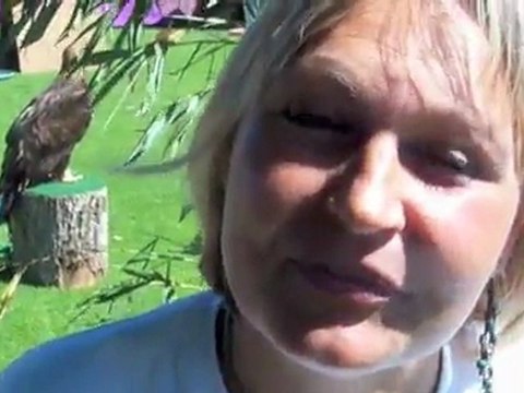 Tarbes pyrénées passions 2011