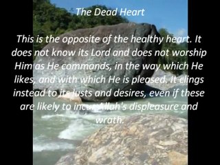 Different Types of Hearts ❤️