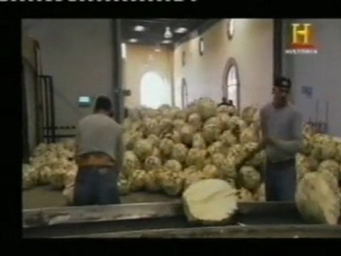 Agave azul: Elaboracion del tequila