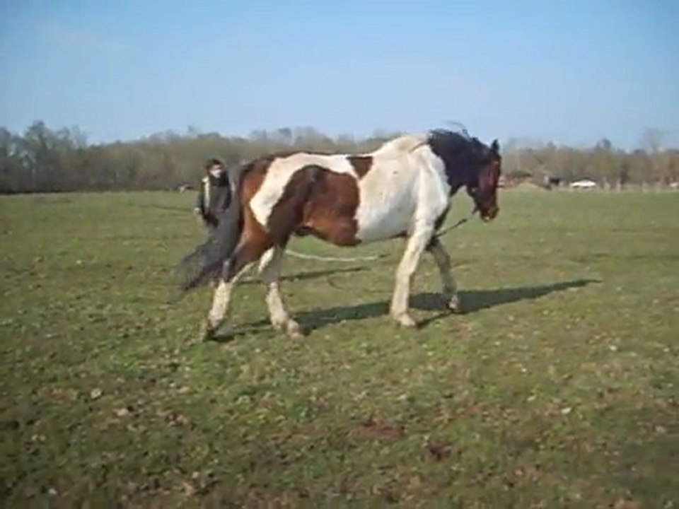 Marie et Zaphir a la longe