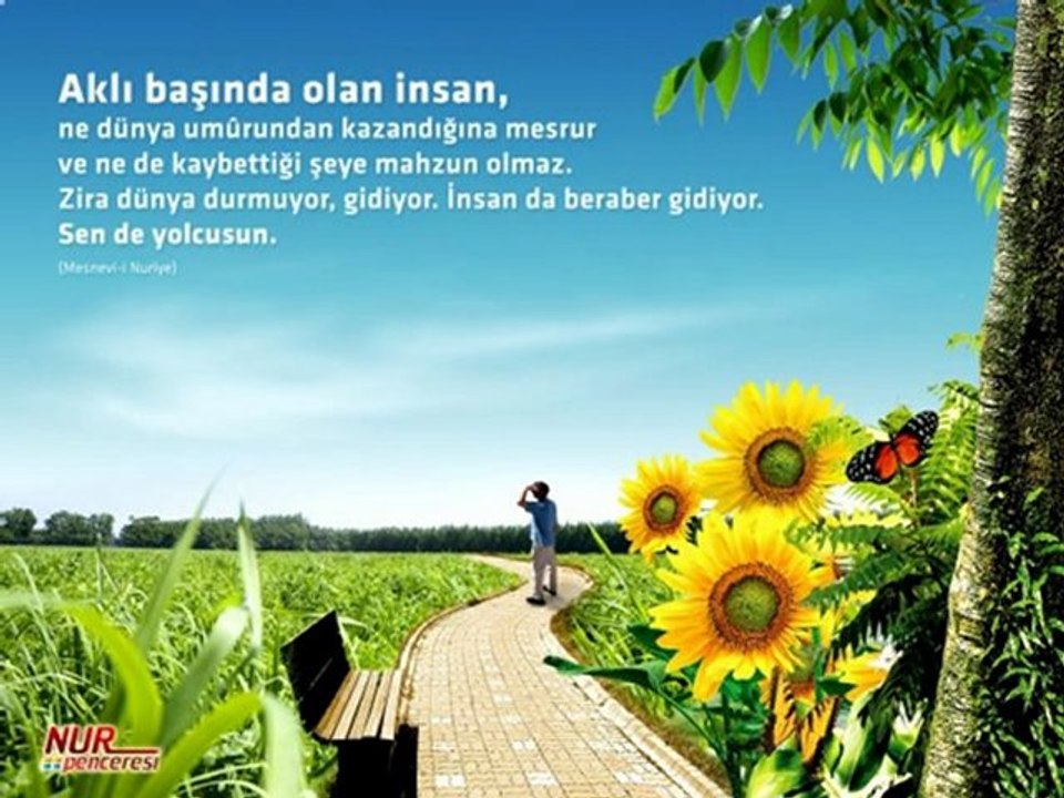 Helal ve haram 1