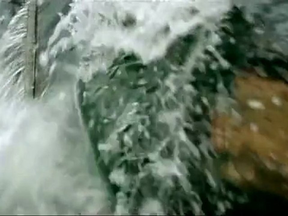 Edward Maya - This Is My Life