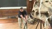 Les dinosaures envahissent l'Institut de Paléontologie à Paris