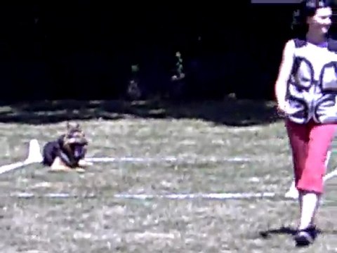 CLIP des Côteaux du Lys