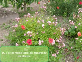 Club Nature Printemps 2011