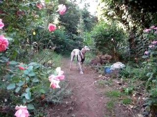 J'fais des trous, des p'tits trous, encore des p'tits trous....