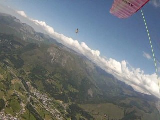 Vol avec un vautour fauve