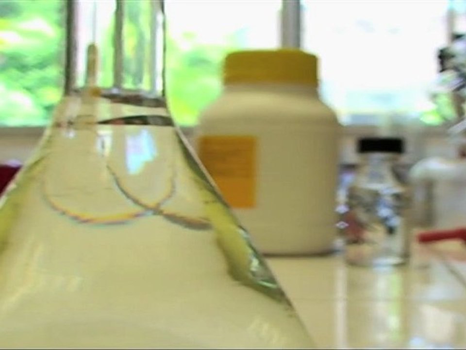 CHIMIE net