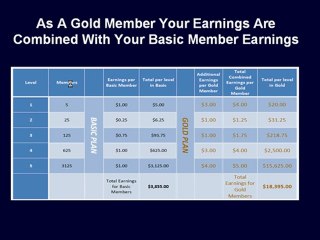 Freeway to Success Compensation Plan