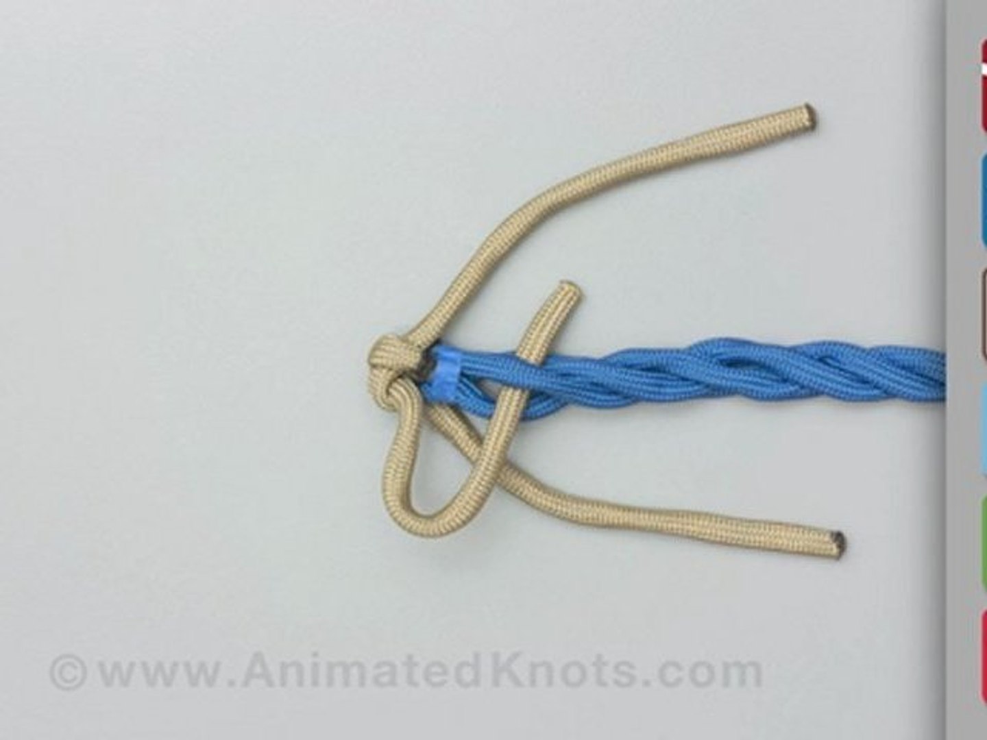 Back Splice How to Tie a Back Splice