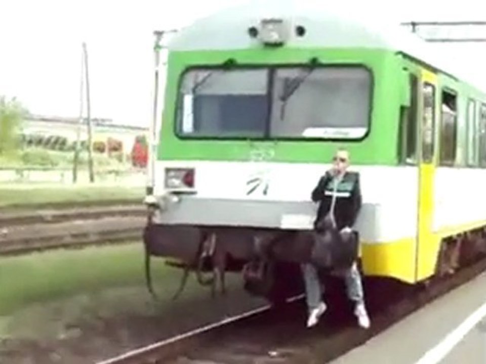 Wir lieben Polen (Wir lieben Polen)