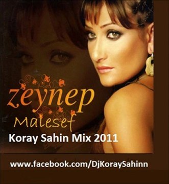Zeynep Malesef (Koray Sahin Mix) 2011