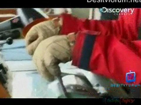 Whale Wars - 27th June 2011 Watch Video Online p4