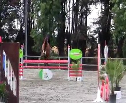 Pandora - Vitesse 1.20m La Gourmette