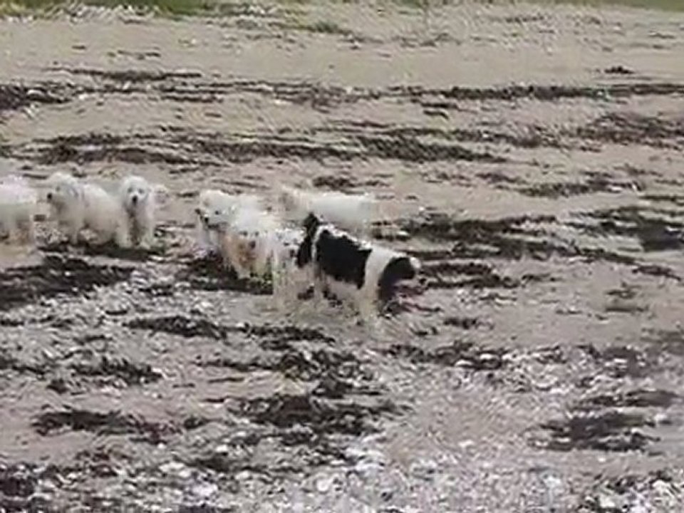 Bébés Daelynn &  Heaven