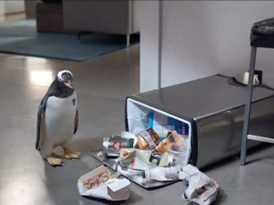 Mr. Popper's Penguins (2011) - FULL MOVIE - Part 3/10
