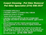Dallas texas carpet cleaning pet odor removal water extracti
