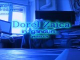 Interviu Prof. Artist Dorel Zaica 3