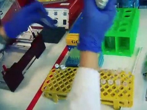 TV3 - Divendres, 22.10, al 33 - La marató dels investigadors