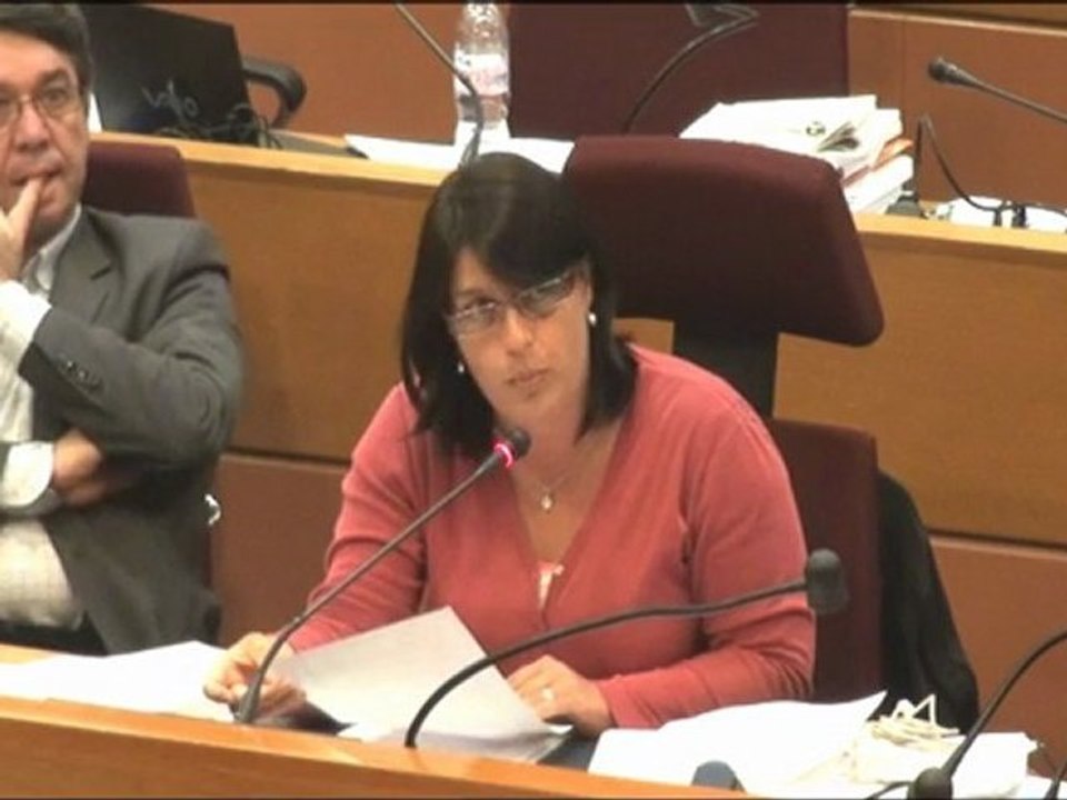 Séance juin 2011 / Développement économique : les élus socialistes adoptent la stratégie de développement économique régionale pour l’Île-de-France.
