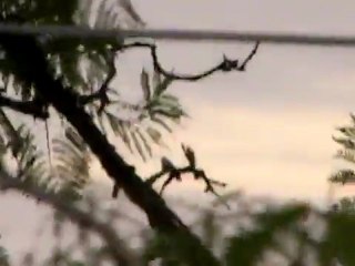 ufo. porto alegre.06.2011