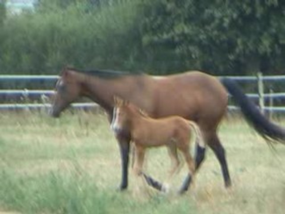 Travalen et Lena 18 08 06