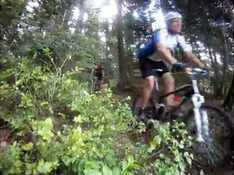 Les Mollets Verts-2011