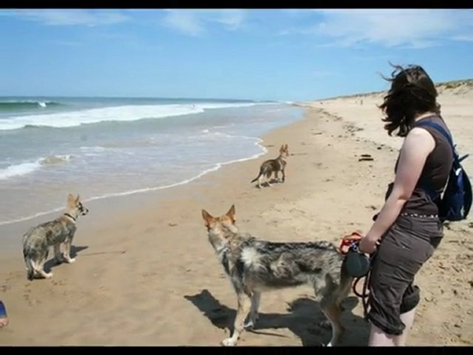 W.E plage 06-2011