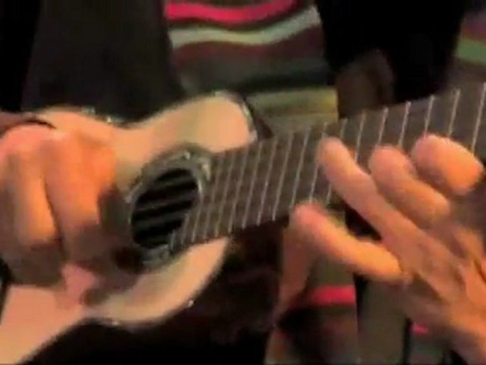 Savia Andina(El vuelo del picaflor)